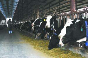 ũҵ�������ƶ�����ּ���׼