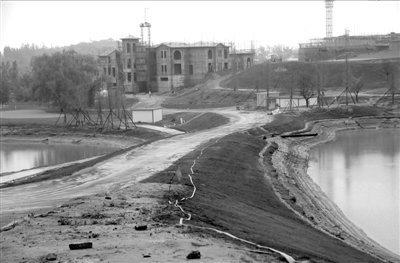 ʯ��ׯ�ڳϰ�¹��˾ռ��ǧĶ������ ��ν�ͣ�޹�