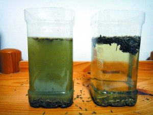 �ͼ���Ȼ���ز����Ƽ����� ���²�ϸ��(ͼ)