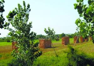 �º��ر���·������������ש�룬���ѱ�Ȧ�𽫽�������