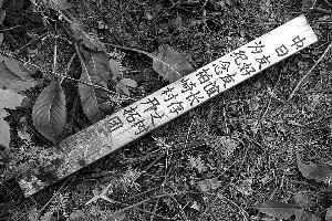 ��������ҹ��������ű�ǽ ����Ҫ�������˵�Ǹ